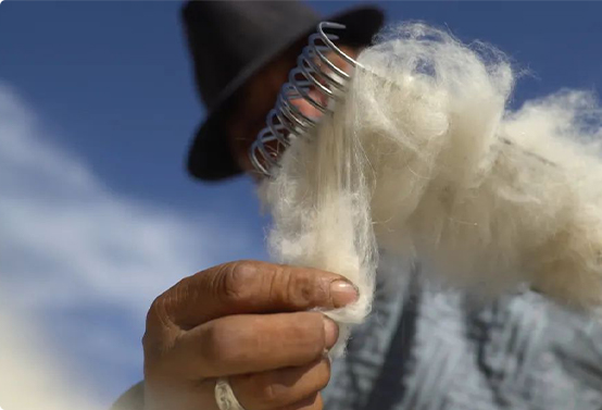 Cashmere Project in Hebei Province